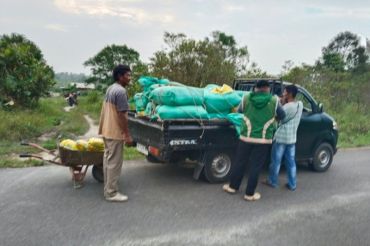 Pemkab Natuna serahkan bantuan 2,3 ton benih padi