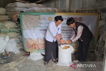 Penyaluran jagung SPHP Bulog Magelang dekati 100 persen