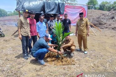 Pemkab Aceh Jaya realisasi 60 hektare lahan sawit untuk eks kombatan GAM