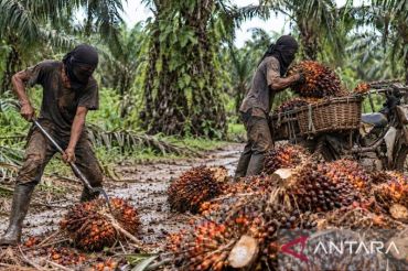 PTPN IV Regional III dukung gebrakan Kapolri berantas narkoba