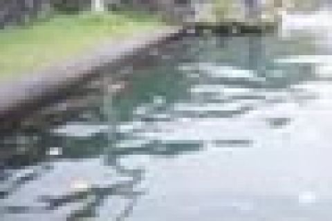 KOLAM NARMADA KOTOR