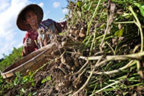 HARGA TURUN