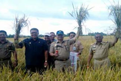 PANEN RAYA