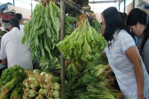 Harga Sayur Naik