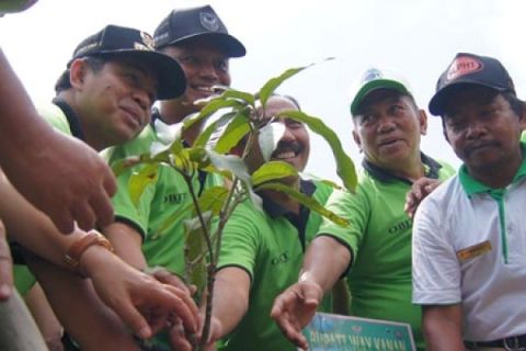 Tanam Pohon Bersama