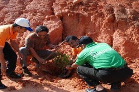 BP Batam Tanam Pohon  Ujung Tahun