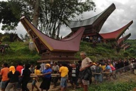 RAMBU SOLO