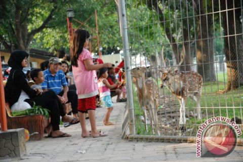 Taman rusa  