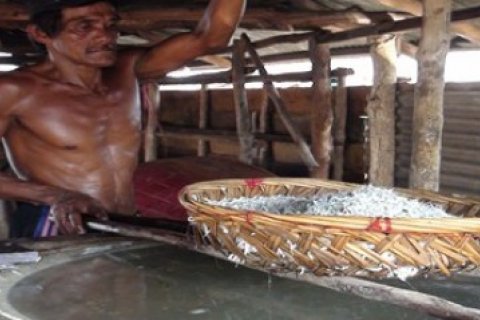 Produksi Ikan Bilis/Henky Mohari