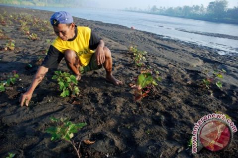Manfaatkan sungai surut