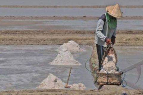 PRODUKSI GARAM