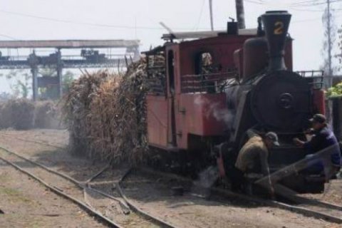 KEBUTUHAN PRODUKSI GULA