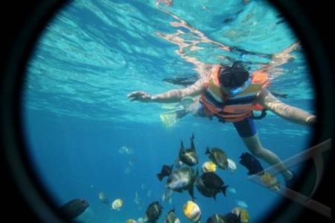 SNORKELING GILI TRAWANGAN