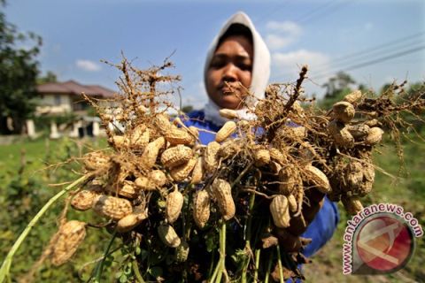 Harga jual turun