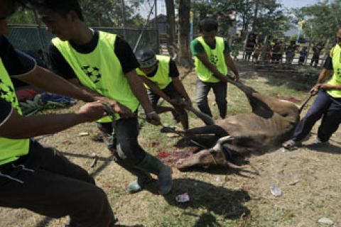 QURBAN