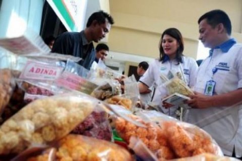 PENGEMBANGAN KAPASITAS USAHA