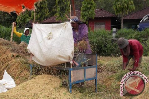 Panen terakhir