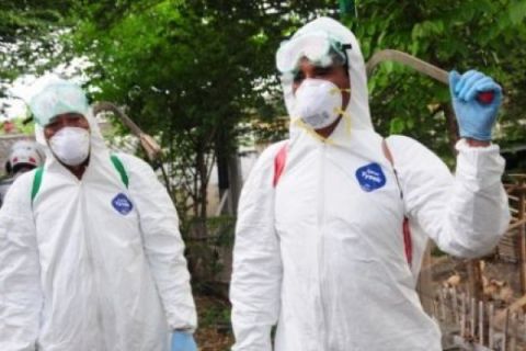 PENCEGAHAN FLU BURUNG