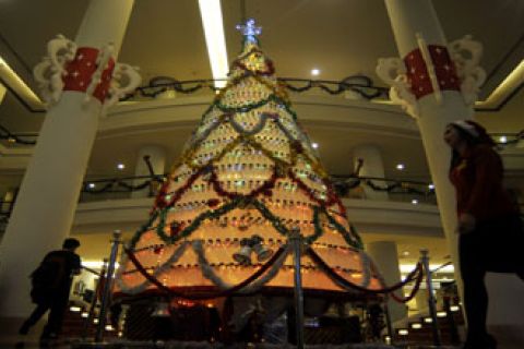 POHON NATAL BOTOL BEKAS