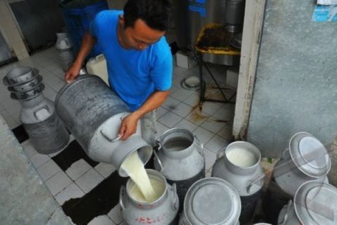 PRODUKSI SUSU TURUN