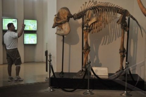 MUSEUM RANGGAWARSITA