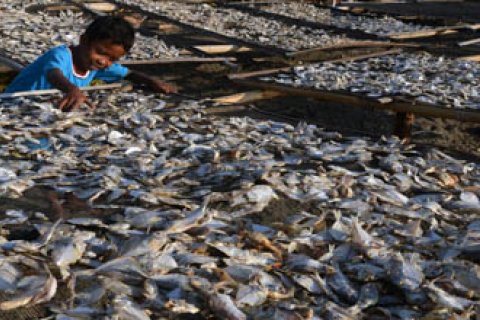 IKAN KERING