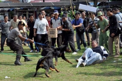 SIMULASI PENGAMANAN PILKADA
