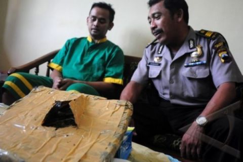 PENGEDAR GANJA