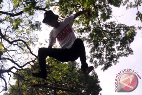 Hari Skateboard Sedunia