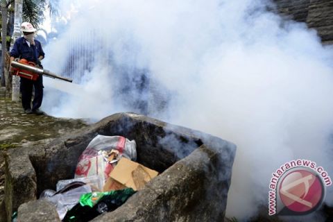 FOGGING DBD