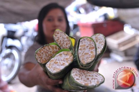 Kembali Produksi Tempe