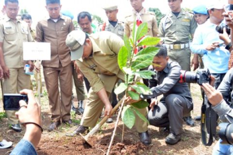 Gerakan Menanam Pohon
