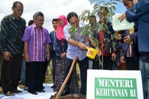 Menhut Tanam Pohon