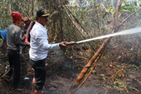 Bupati Padamkan Kebakaran