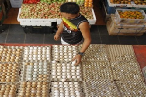 Harga Telur Puyuh Naik/Joko Sulistyo