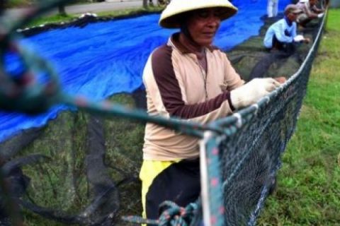 MEMPERBAIKI JARING