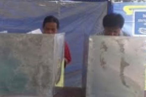 Penggunaan Hak Pilih