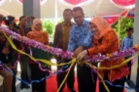 Peresmian Gedung Statistik 