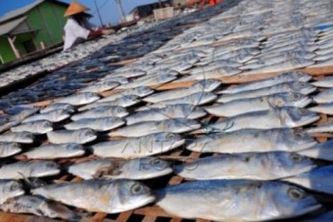 IKAN ASIN