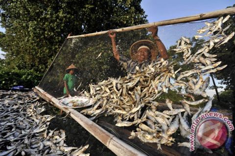 IKAN KERING