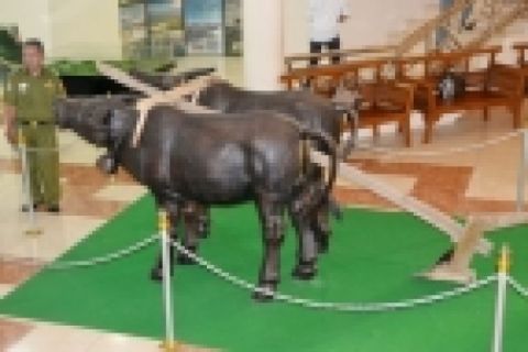 Museum Nasional Transmigrasi