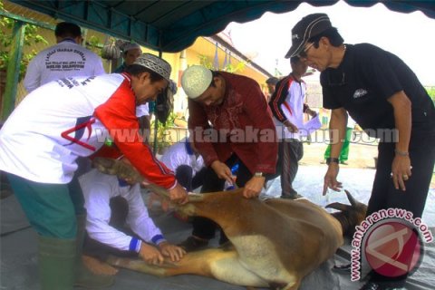 Penyembelihan Hewan Kurban