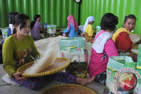Pekerja di gudang beras 