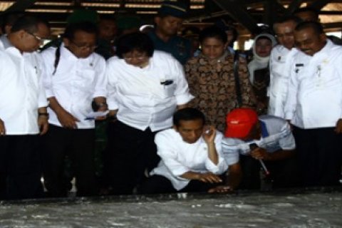 Presiden Tinjau Pengolahan Sagu/Joko Sulistyo