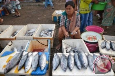 IKAN CAKALAN BEKU