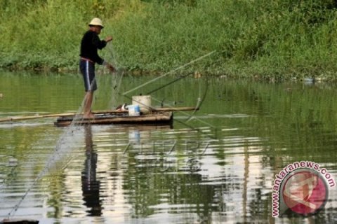 NELAYAN IKAN TAWAR