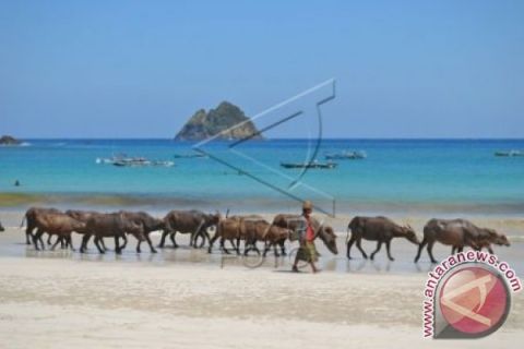 POTENSI PANTAI SELONG BELANAK