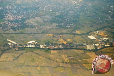 PENURUNAN HASIL PANEN PADI