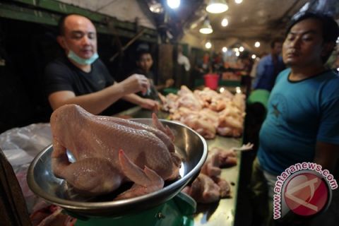 Daging ayam naik