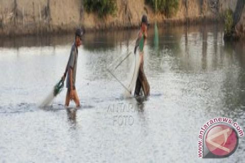 PERMINTAAN IKAN TAMBAK MENINGKAT